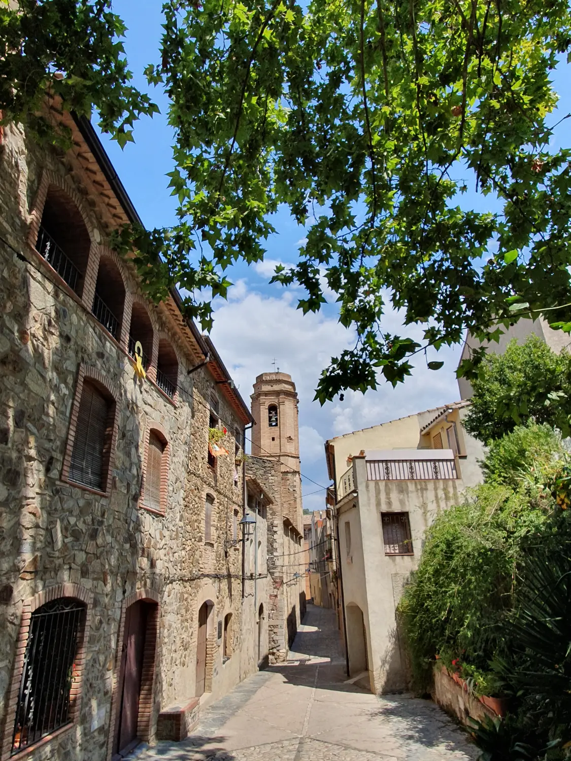 Apartments Cal Viola 