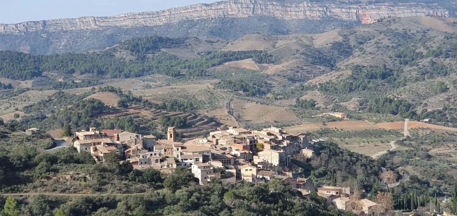 Torroja del Priorat 