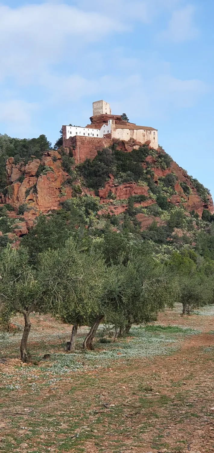 Torroja del Priorat