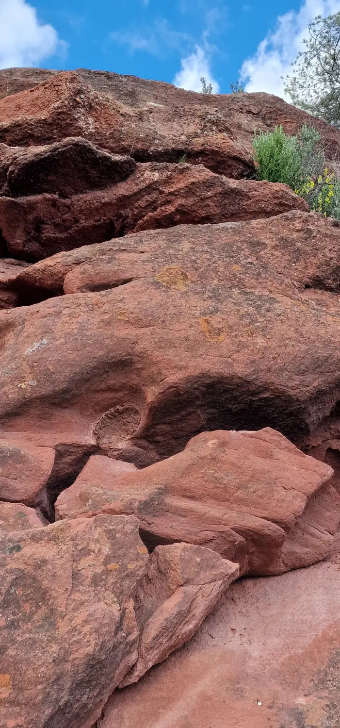 Apartments Cal Alemany 