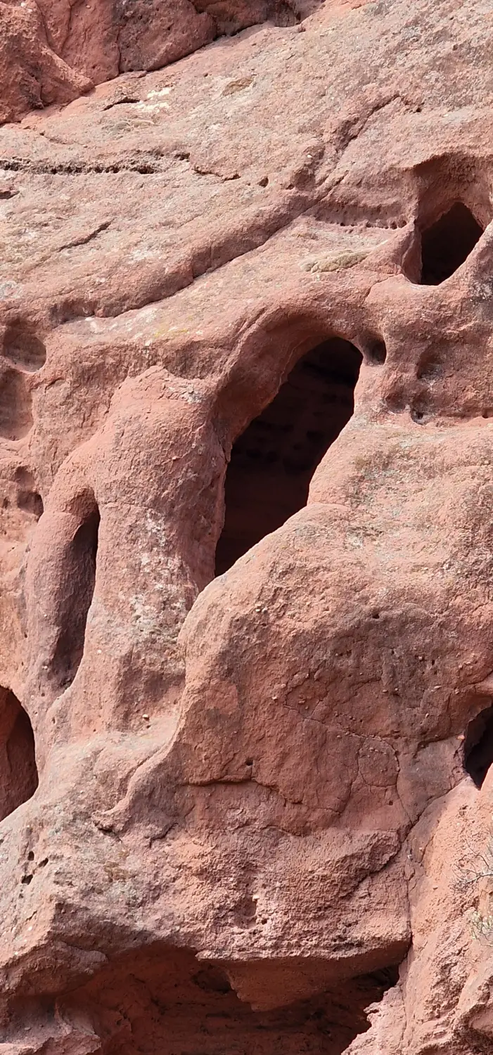 Apartments Cal Alemany 