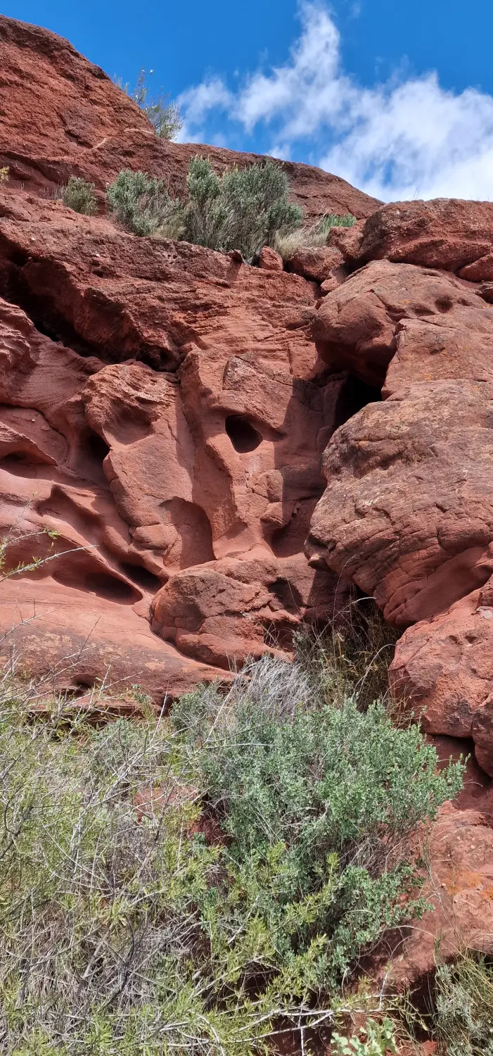 Apartments Cal Alemany 