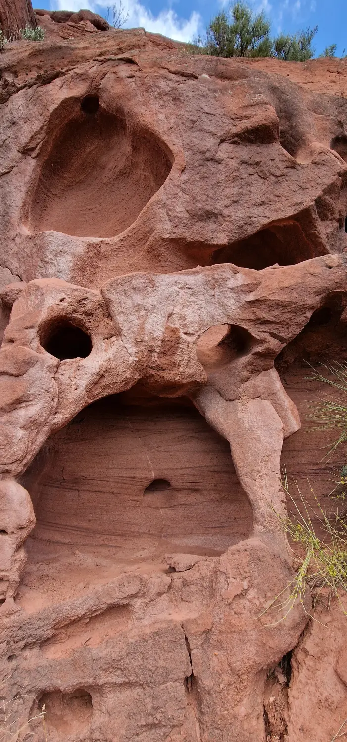 Apartments Cal Alemany 