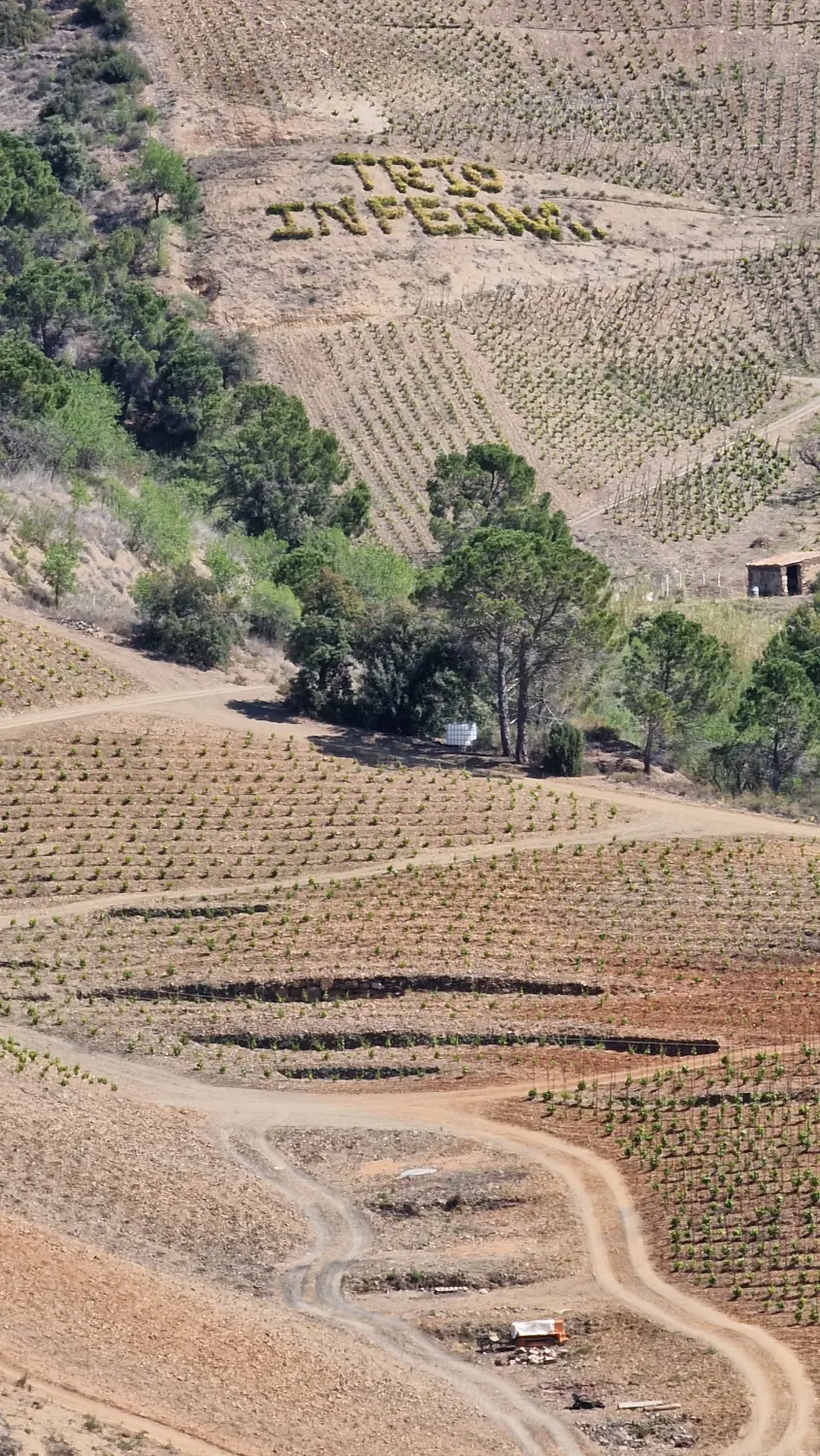 Torroja del Priorat
