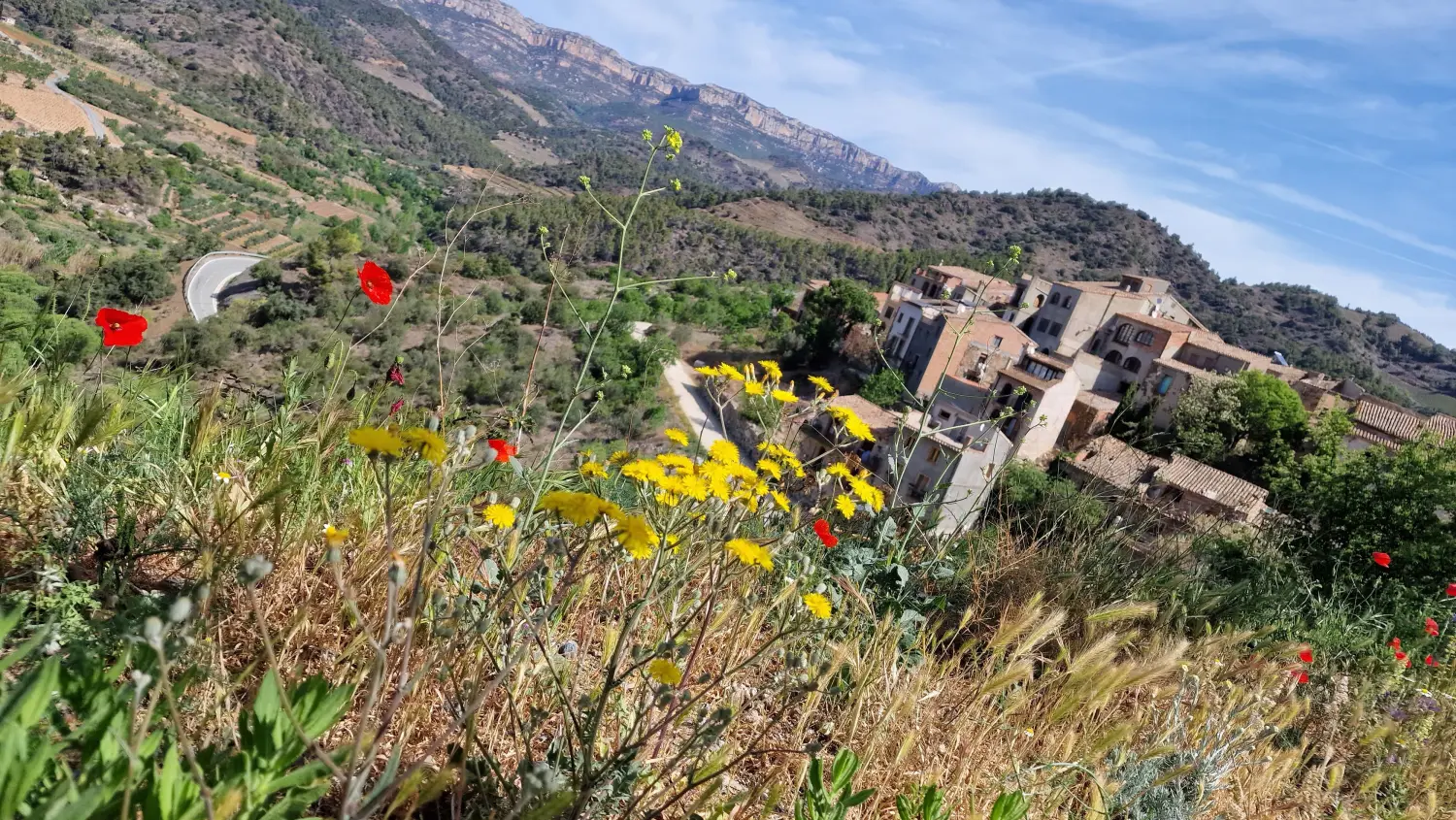 Casa Rural Priorat 