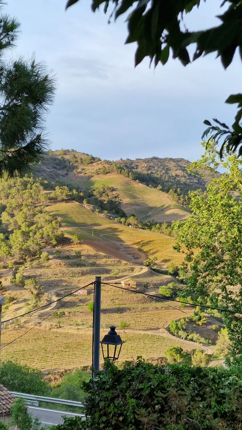 Torroja Landschaften von Cal Viola