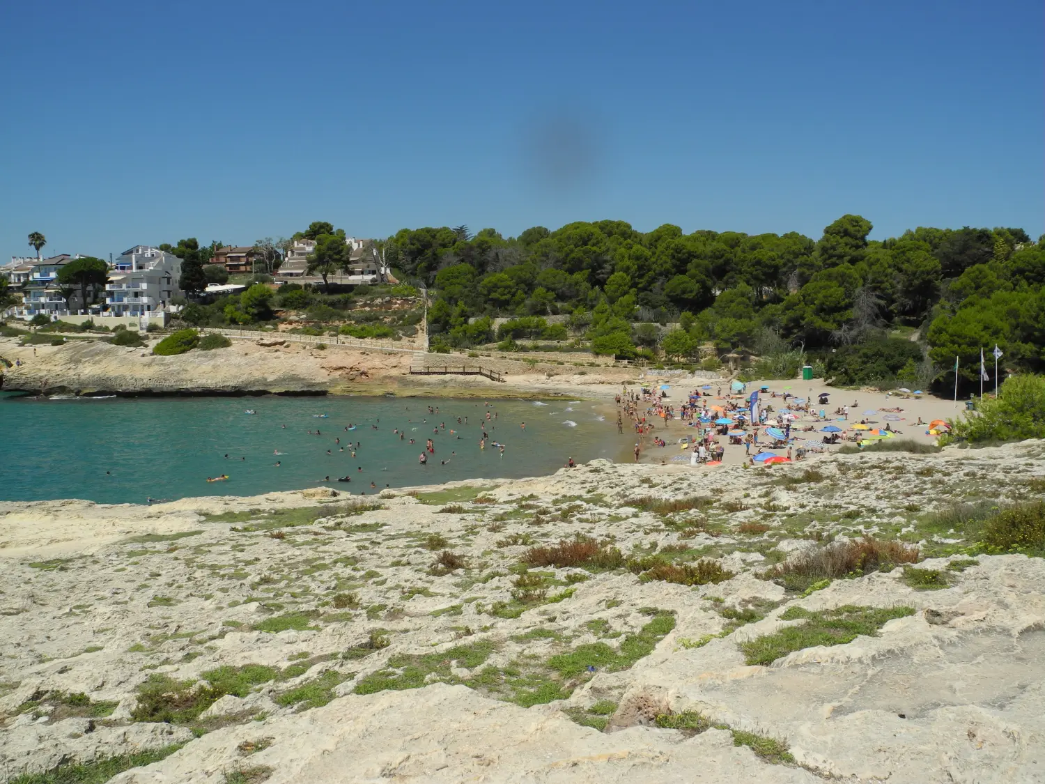 Montserrat Falgueras Alabart 