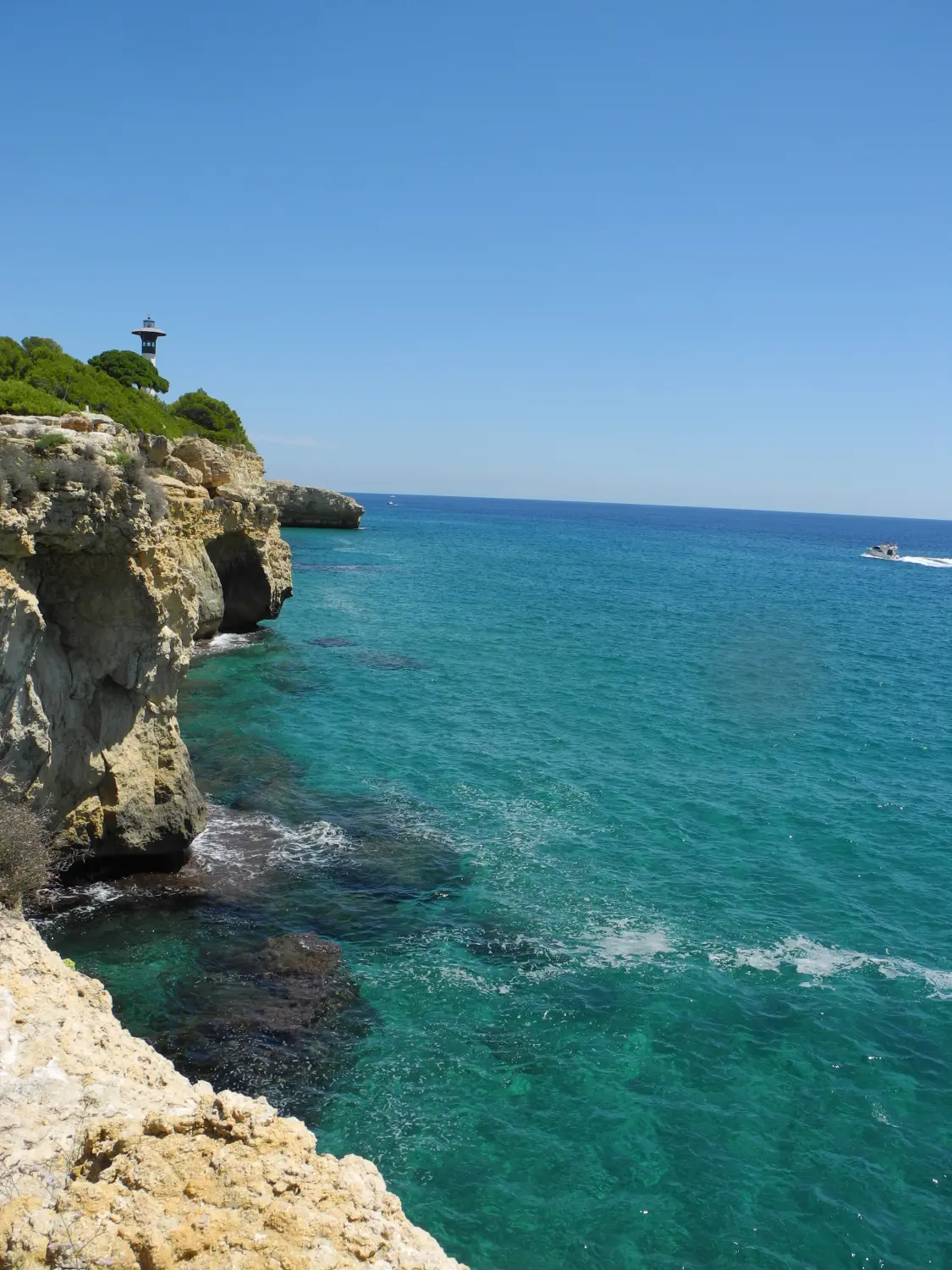 Montserrat Falgueras Alabart 