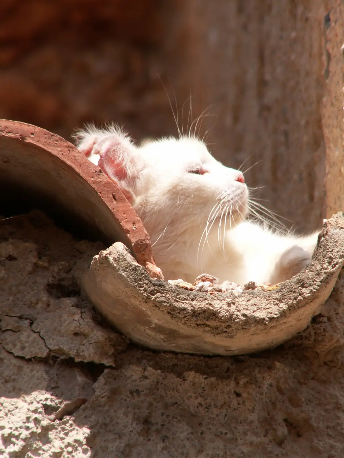Torroja Landschaften von Cal Viola